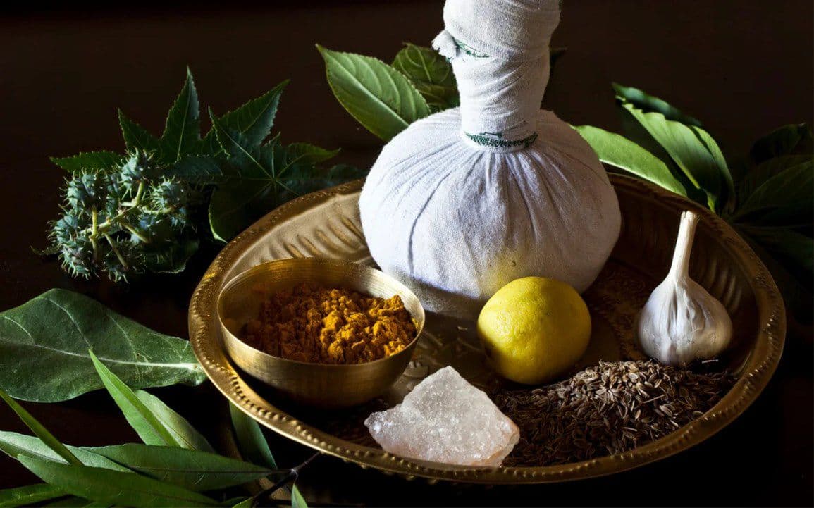 Kerala Ayurveda herbs and formulations